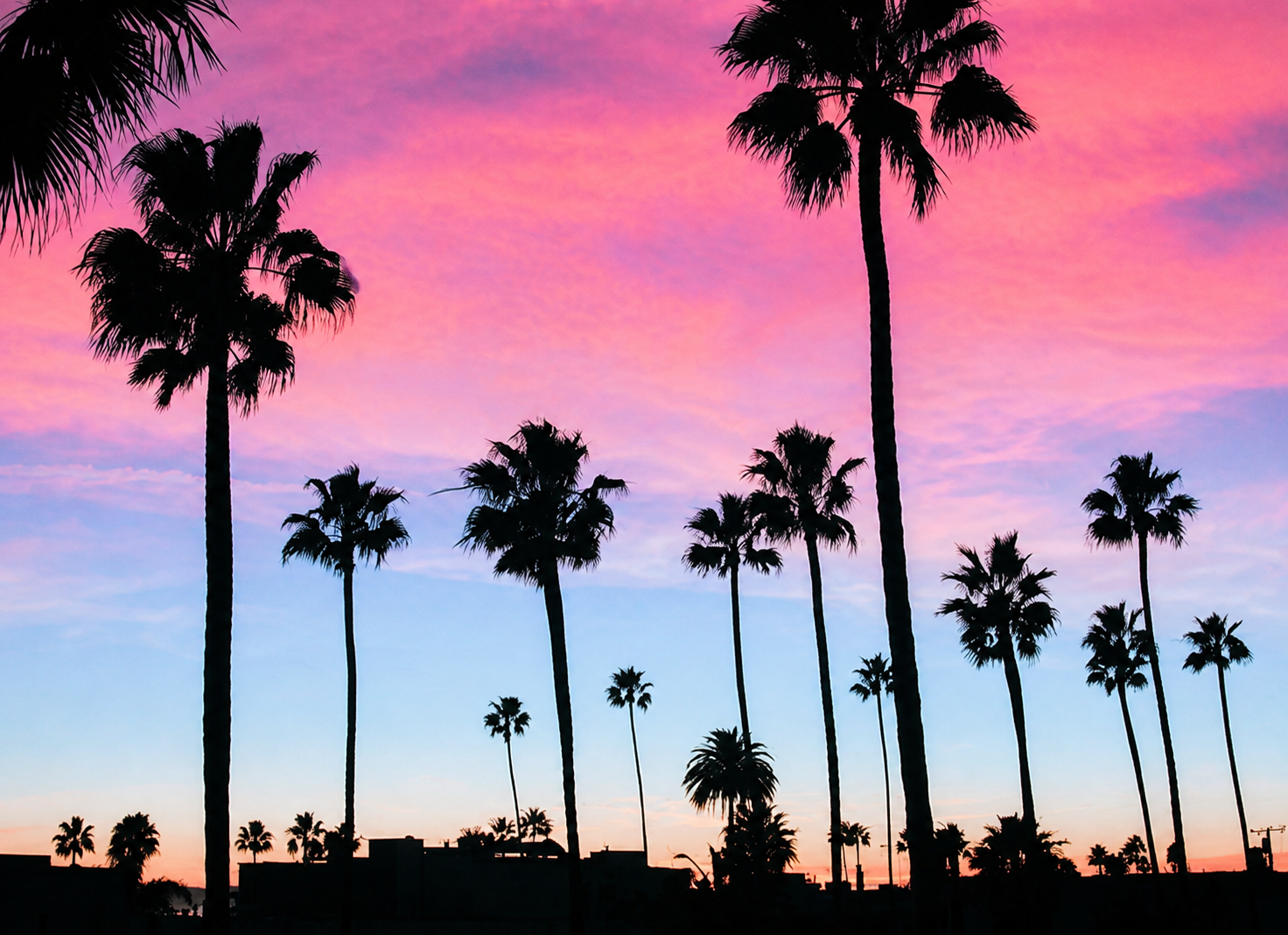 ピンクとブルーに染まるカリフォルニアの夕暮れ